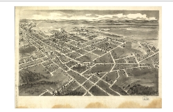 Hickory 1907